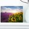 Designart - Lavender and Sunflower Fields - Floral Canvas Art Print